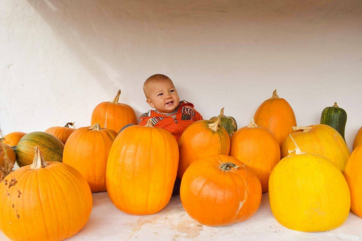 10 lavoretti “zuccosi” da fare con i vostri bimbi ad Halloween! –  notellytoday, image size:1184x790