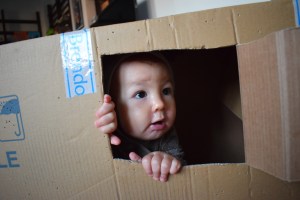 house made out of a box