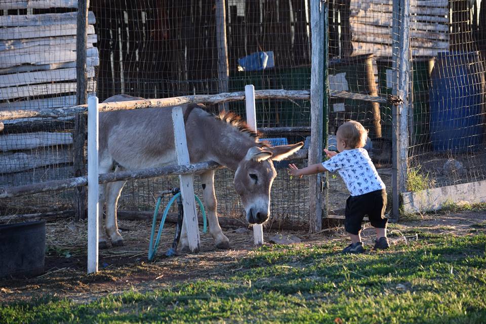 20294300_1421184304629088_1135500390367300575_n