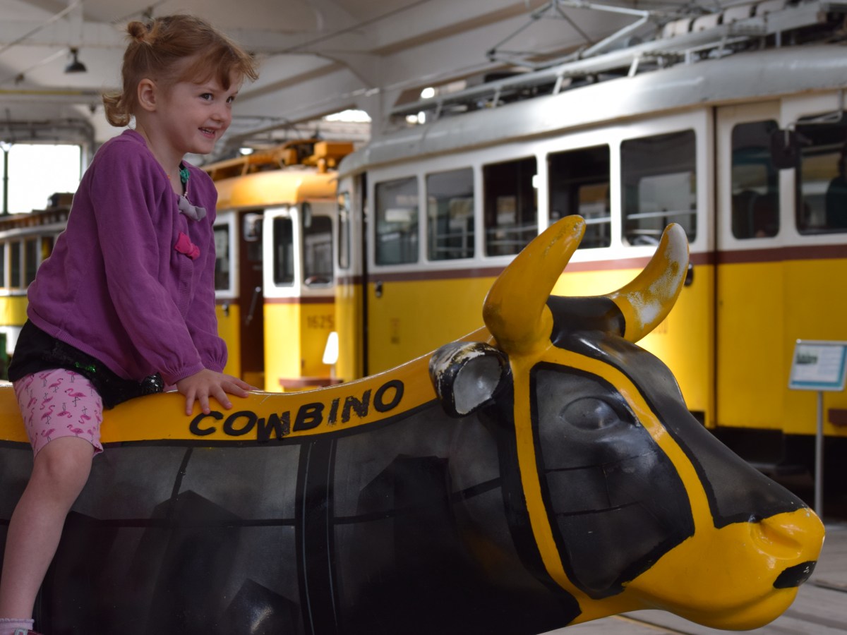 Treni, tram e autobus del passato tra Budapest e Szentendre!