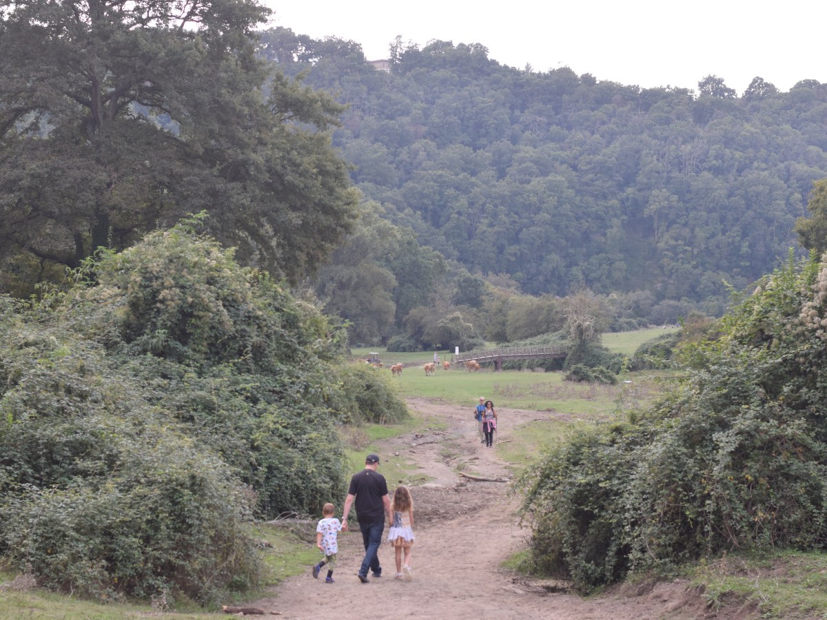 Parco del Sorbo con bambini