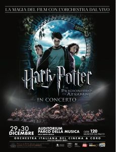 Harry Potter Auditorium