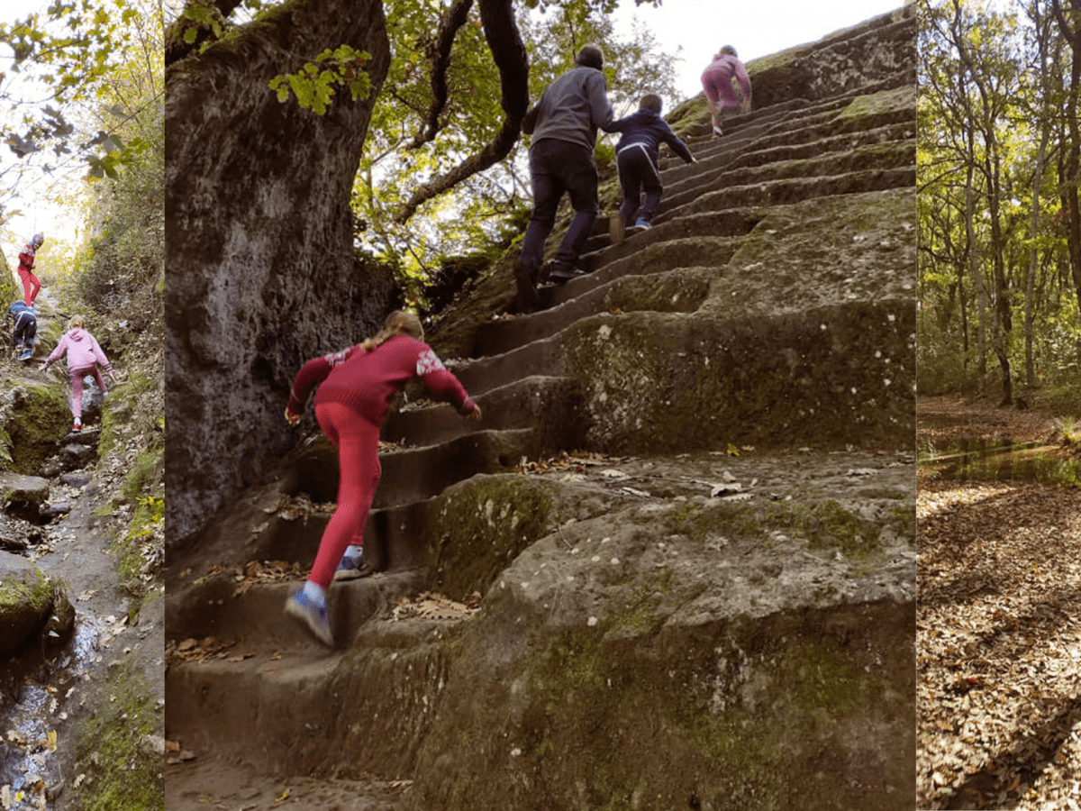 Gite da Roma: La piramide etrusca nascosta nel bosco di Bomarzo